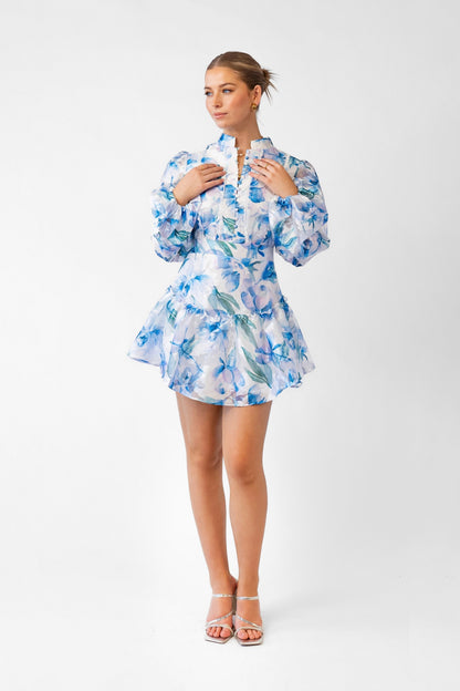 Hazel Blue Print Mini Dress with Long Sleeves